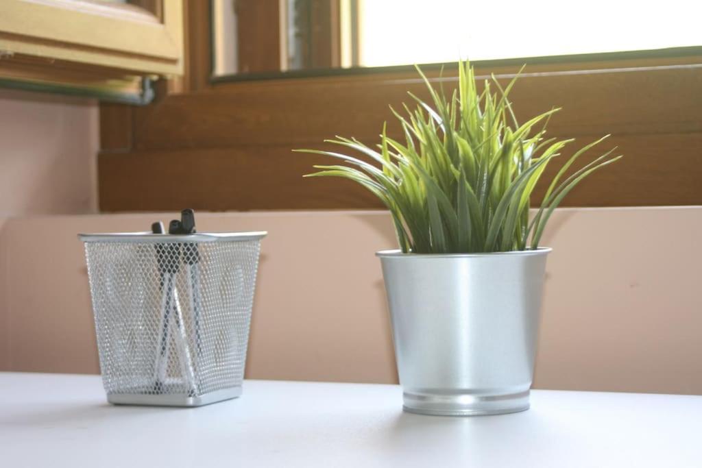 Apartament Gartzinea, Amplia Y Preciosa Vivienda Rural Ezkurra Zewnętrze zdjęcie