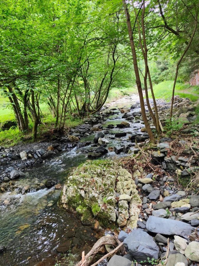 Apartament Gartzinea, Amplia Y Preciosa Vivienda Rural Ezkurra Zewnętrze zdjęcie