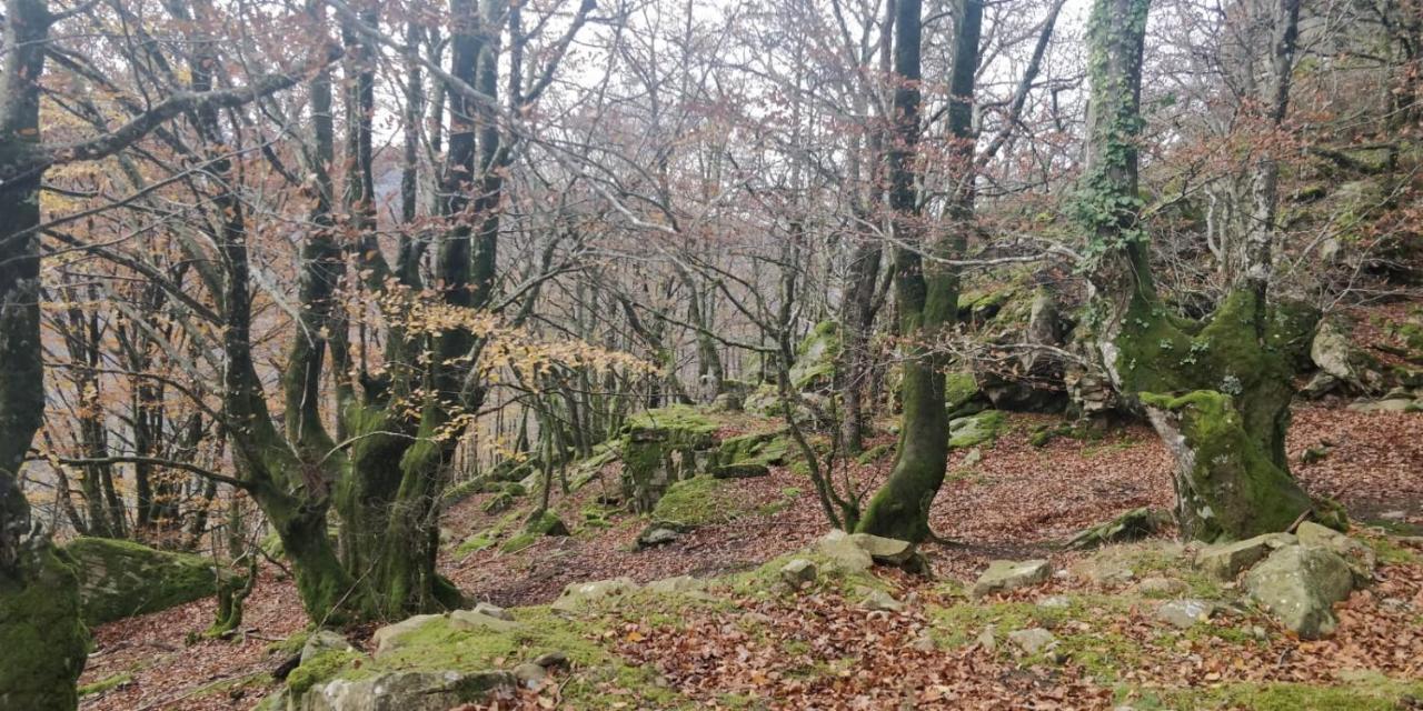 Apartament Gartzinea, Amplia Y Preciosa Vivienda Rural Ezkurra Zewnętrze zdjęcie